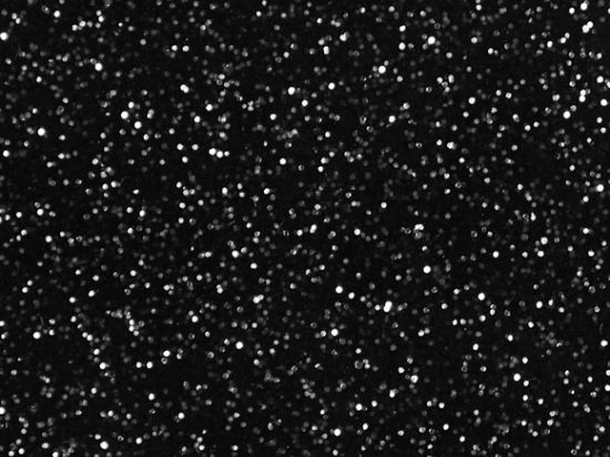 Tissu enduits Skiny Disco 138cm M2