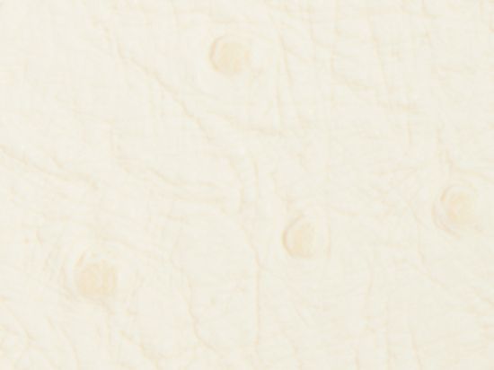 Tissu enduit Motif Animal 138cm M2