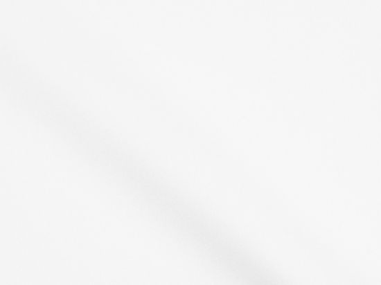 Lycra Fabric 310cm B1