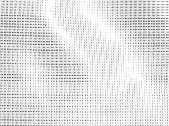 Lamé Voile 50% 300cm M1