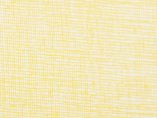 Tarlatan Gauze deco 140cm M1