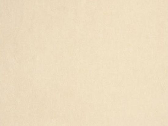 Flamenco Rip Expotapijt 2m x 50m Bfl-s1