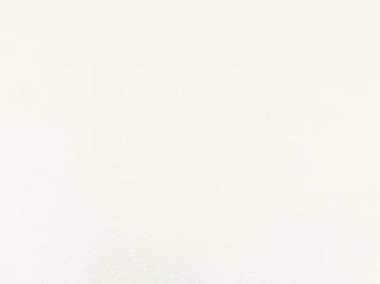 Montexpo Budget Expotapijt 202 cm x 60m Bfl-s1