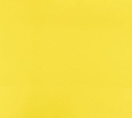 Montexpo Budget Expotapijt 202 cm x 60m Bfl-s1