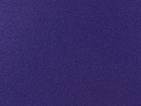 Moquette Aiguilletée de Stand Filmée 2m Cfl-s1