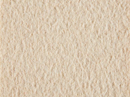 Moquette Aiguilletée de Stand Filmée 4m Cfl-s1