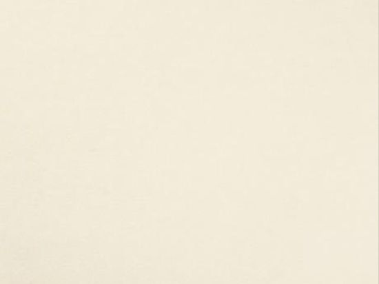 Moquette Revexpo 2m x 30m Cfl-s1