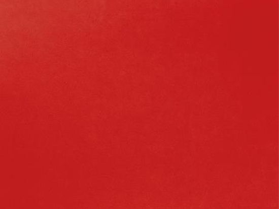 Moquette Revexpo 2m x 30m Cfl-s1