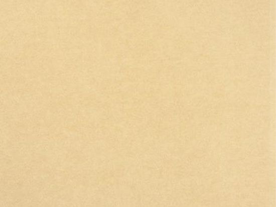 Moquette Revexpo 2m x 30m Cfl-s1