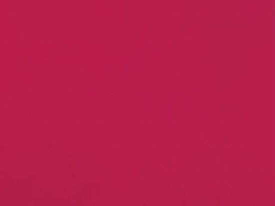 Moquette Revexpo 2m x 30m Cfl-s1