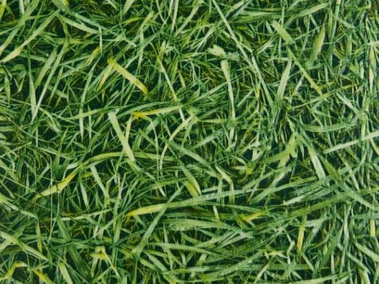 Sol PVC Herbe 2m Cfl-s1