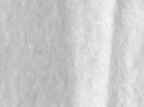 Exhibition Felt 180 cm