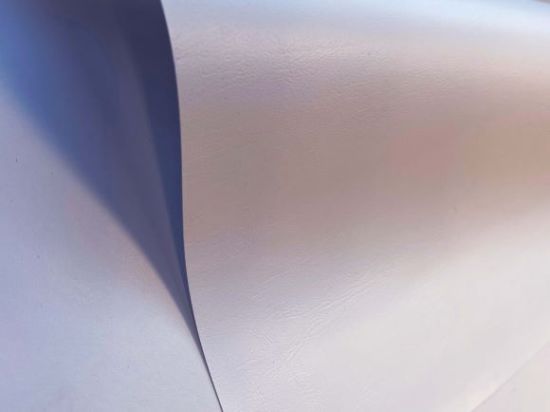 Tafelzeil Alfa Albino