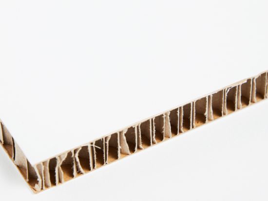 Panneau Carton Alvéolaire Blanc Couche - 20mm