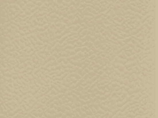 Sol Sportif Intérieur Taraflex