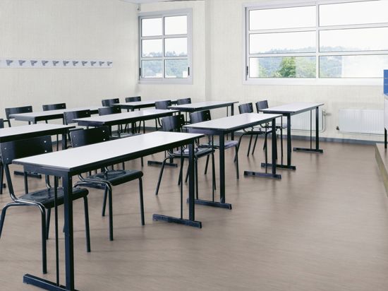 Sol PVC Taralay Impression Compact 33