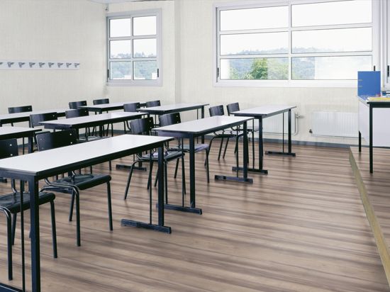 Sol PVC Taralay Impression Compact 33