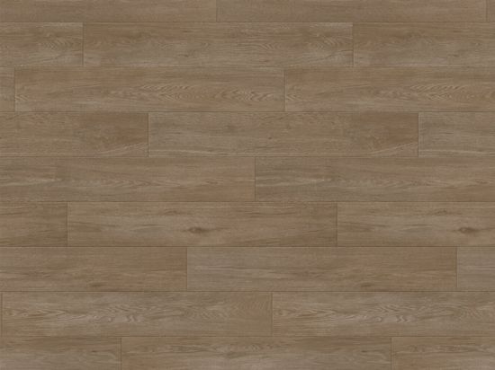 Sol PVC Taralay Impression Compact 33