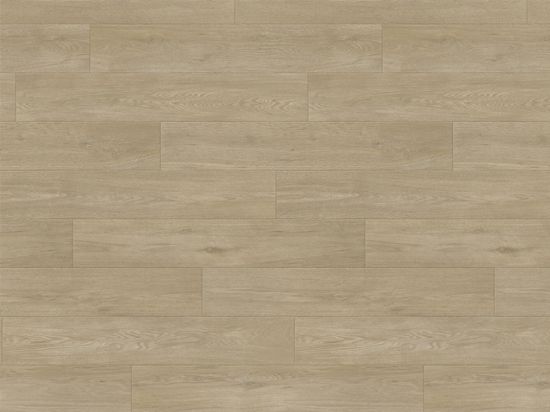 Sol PVC Taralay Impression Compact 43