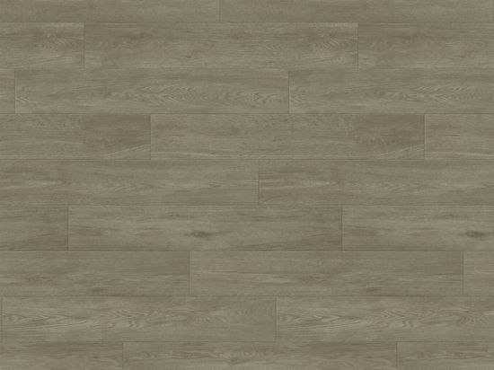 Sol PVC Taralay Impression Compact 43