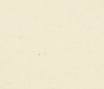 Toile Super Stage Molleton 300cm Ecru