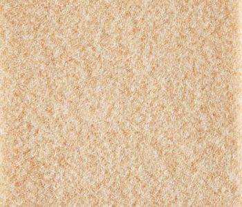 Moquette Velours Filmée Salsa 2m Cfl-s1