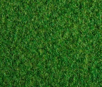 Moquette Effet Expogazon Vert 2m Cfl-s1