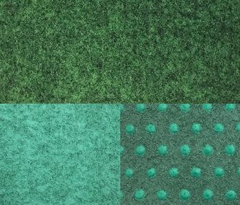 Carpet Grass Bala 4m x 50m