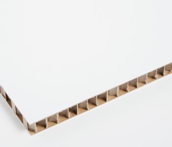 Panneau Carton Alvéolaire Blanc 2,4m x 1,6m - 16mm