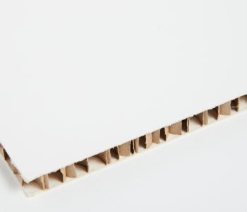 Panneau Carton Alvéolaire Blanc 2,4m x 1,6m x 16mm