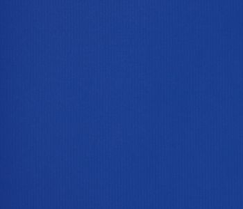 Toile enduite Tirex 330G 220cm M2