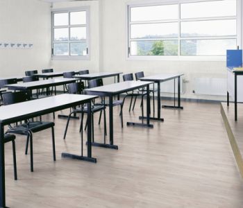 Sol PVC Taralay Impression Compact 43